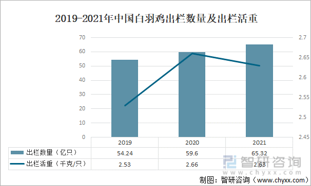 2019-2021年中国白羽鸡出栏数量及出栏活重