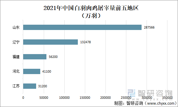 2021年中国白羽肉鸡屠宰量前五地区
