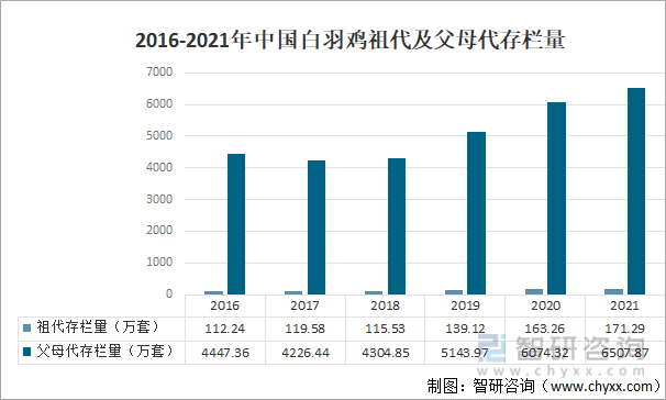 2016-2021年中国白羽肉鸡祖代存栏量及增速
