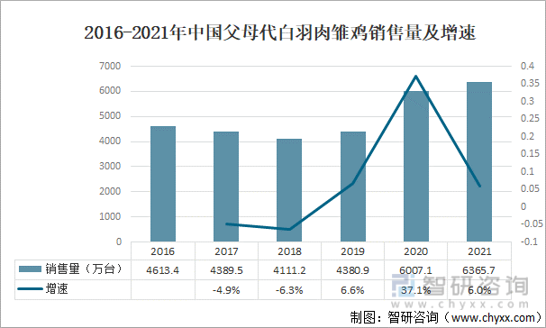 2016-2021年中国父母代白羽肉雏鸡销售量及增速