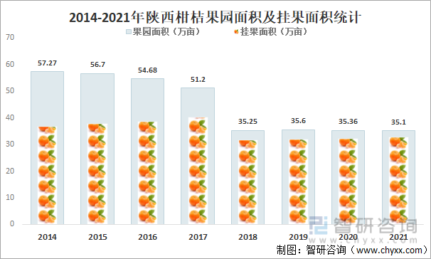 2014-2021年陕西柑桔果园面积及挂果面积统计