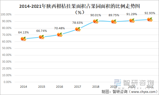2014-2021年陕西柑桔挂果面积占果园面积的比例走势图