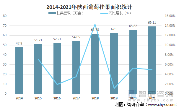 2014-2021年陕西葡萄挂果面积统计