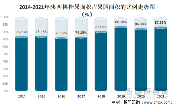 2014-2021年陕西桃挂果面积占果园面积的比例走势图