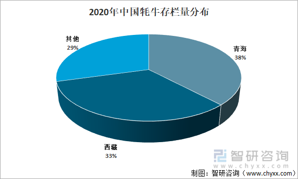 2020年中国牦牛存栏量分布