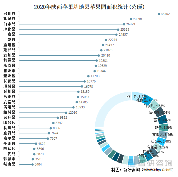 2020年陕西苹果基地县苹果园面积统计(公顷)