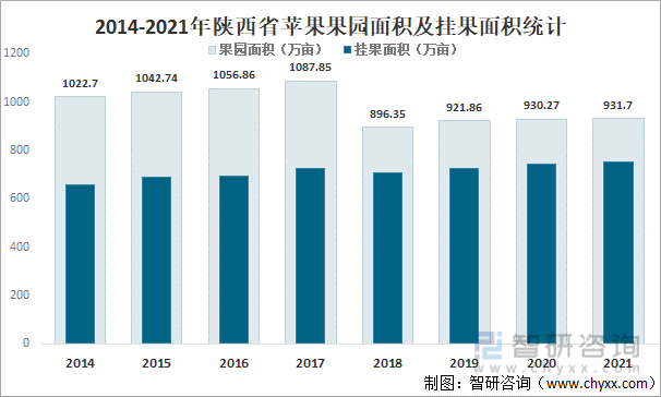 2014-2021年陕西省苹果果园面积及挂果面积统计