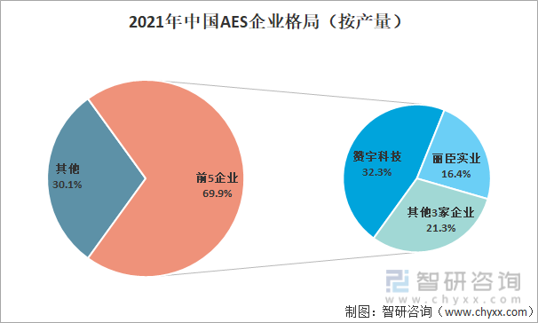 2021年中国AES企业格局（按产量）