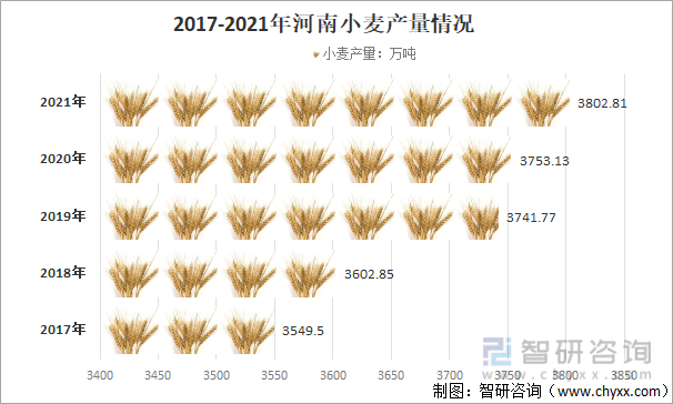 2017-2021年河南小麦产量情况
