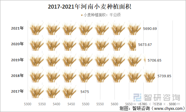 2017-2021年河南小麦种植面积