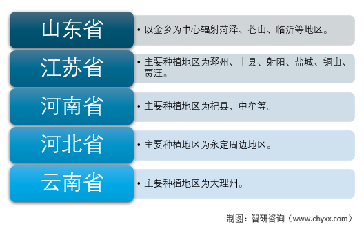 全国蔬菜产区分布图图片