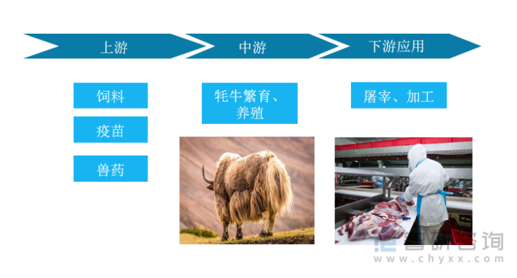 牦牛行业产业链模型
