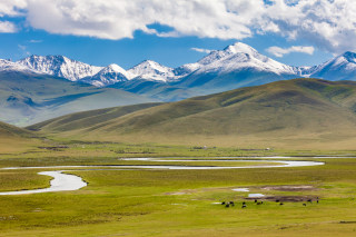 新疆旅游业“井喷式”增长，多地景区热度“爆棚”[图]