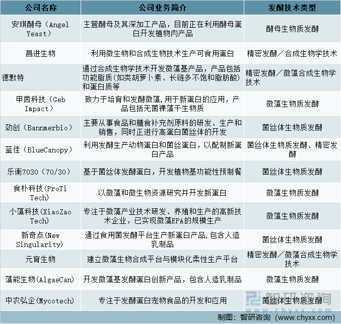 中国新蛋白发酵相关企业