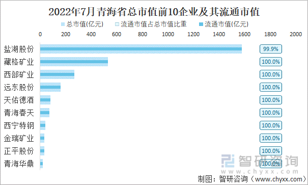 2022年7月青海省A股上市总市值前10强企业及其流通市值