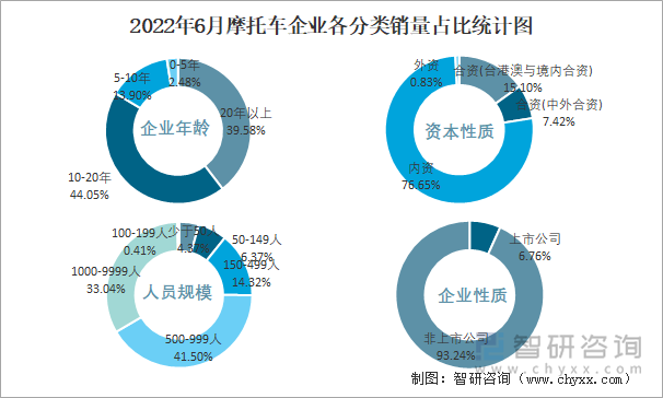 2022年6月摩托車企業(yè)各分類銷量占比統(tǒng)計圖