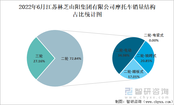 2022年6月江苏林芝山阳集团有限公司摩托车销量结构占比统计图