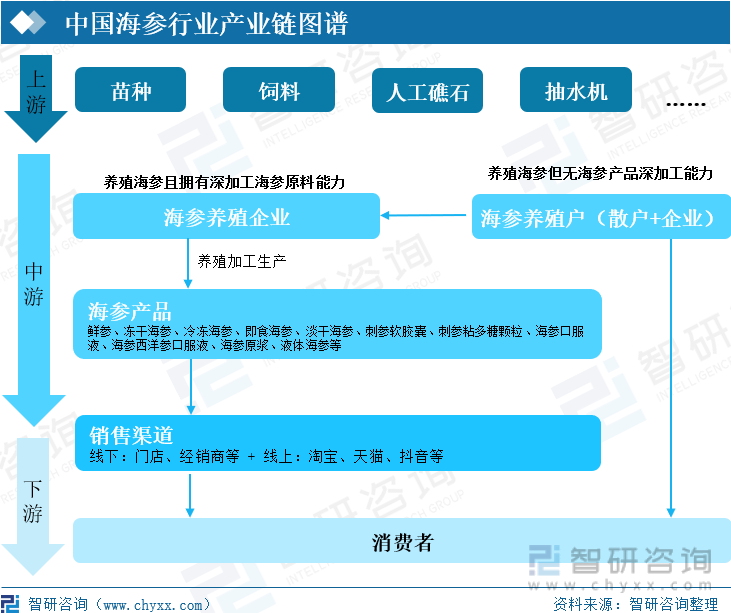 中国海参行业产业链图谱
