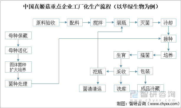 中国真姬菇重点企业工厂化生产流程（以华绿生物为例）