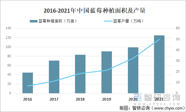 2016-2021年中国蓝莓种植面积及产量