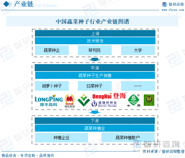 中國蔬菜種子行業產業鏈圖譜