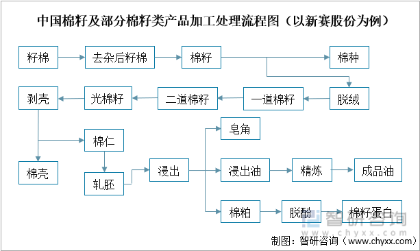 中国棉籽及部分棉籽类产品加工处理流程图（以新赛股份为例）