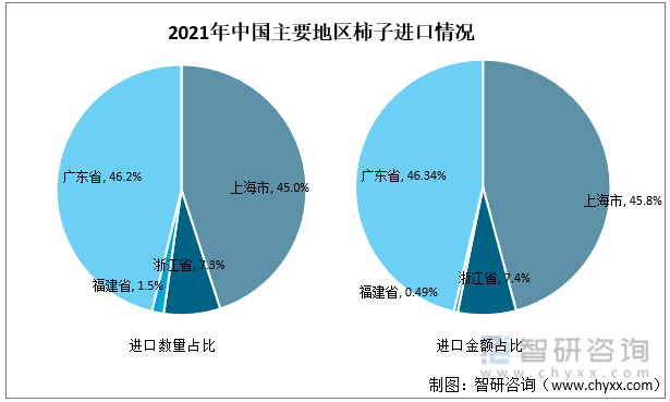 2021年中国主要地区柿子进口情况