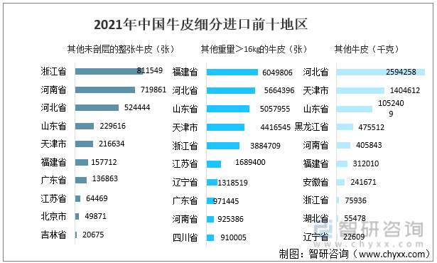 2021年中国牛皮细分进口前十地区