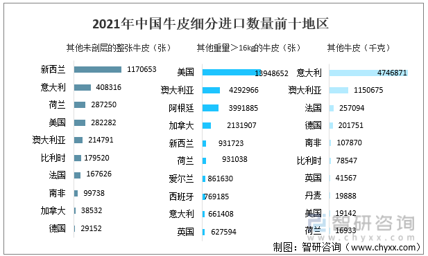 2021年中国牛皮细分进口数量前十地区