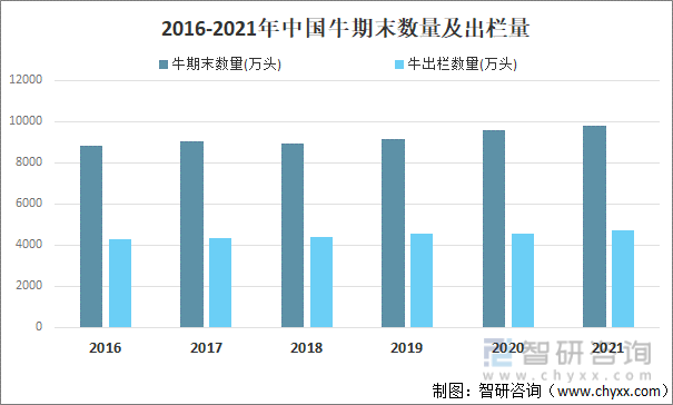 2016-2021年中国牛期末数量及出栏量