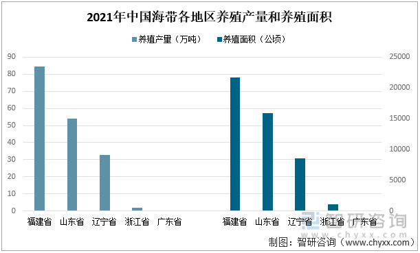 2021年中国海带各地区养殖产量和养殖