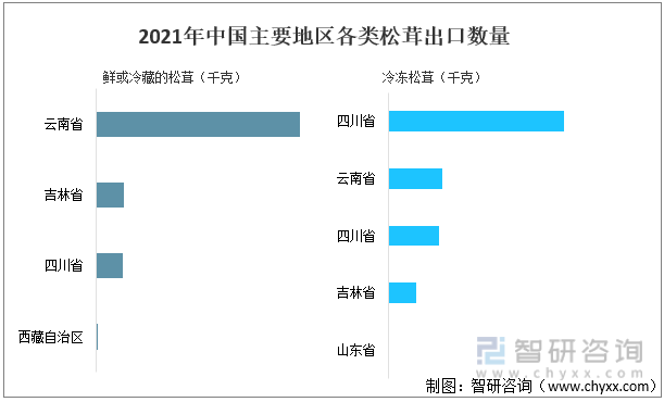 2021年中国主要地区各类松茸出口数量