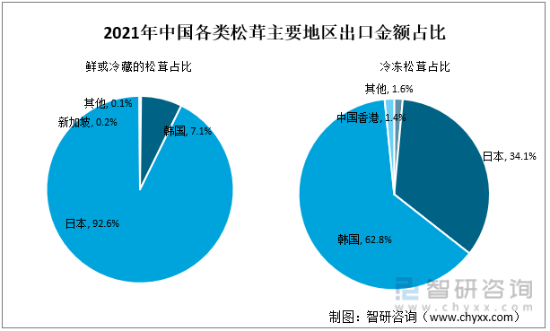 2021年中国各类松茸主要地区出口金额占比