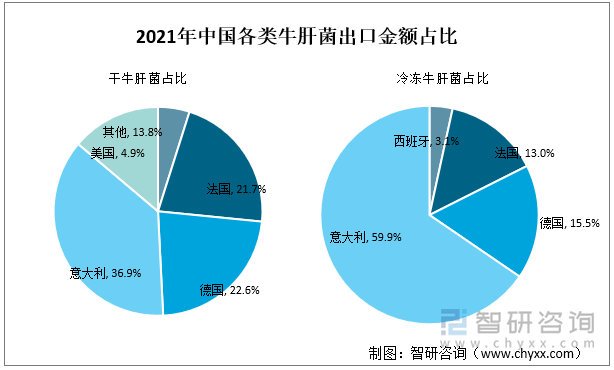 2021年中国各类牛肝菌出口金额占比