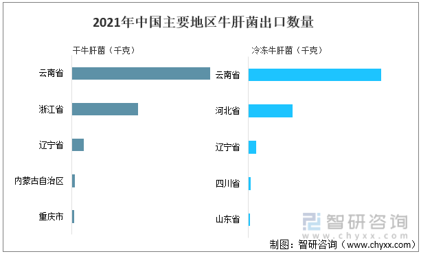 2021年中国主要地区牛肝菌出口数量