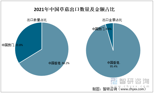 2021年中国草菇出口数量及金额占比