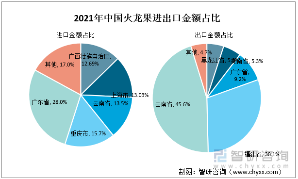 2021年中国火龙果进出口金额占比