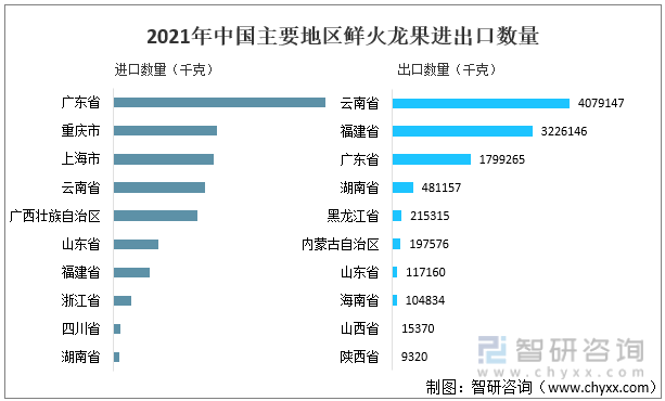 2021年中国主要地区鲜火龙果进出口数量