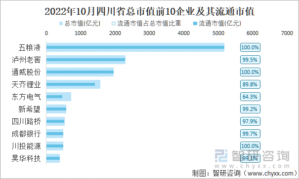 2022年10月四川省A股上市总市值前10强企业及其流通市值