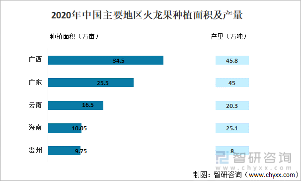 2020年中国主要地区火龙果种植面积及产量