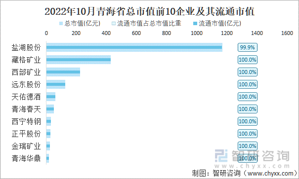 2022年10月青海省A股上市总市值前10强企业及其流通市值