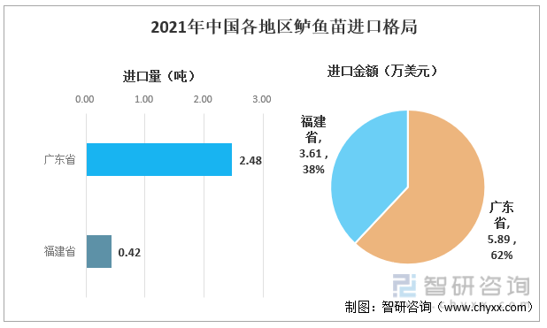 2021年中国各地区鲈鱼苗进口格局