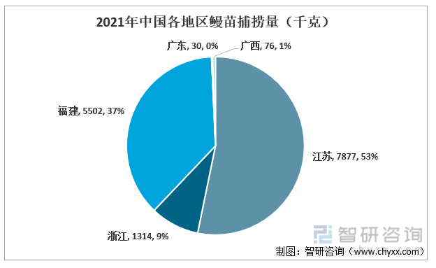 2021年中国各地区鳗苗捕捞量（千克）
