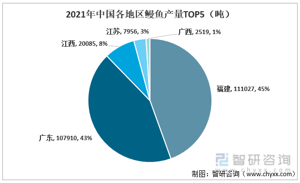 2021年中国各地区鳗鱼产量TOP5（吨）