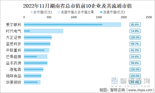 2022年11月湖南省A股上市总市值前10强企业及其流通市值