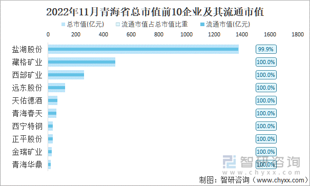 2022年11月青海省A股上市总市值前10强企业及其流通市值