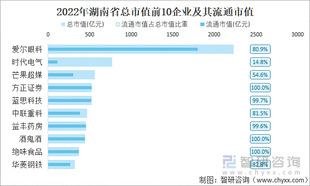 2022年湖南省A股上市总市值前10强企业及其流通市值