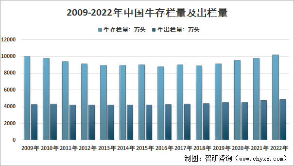 肉牛生长规律表图片