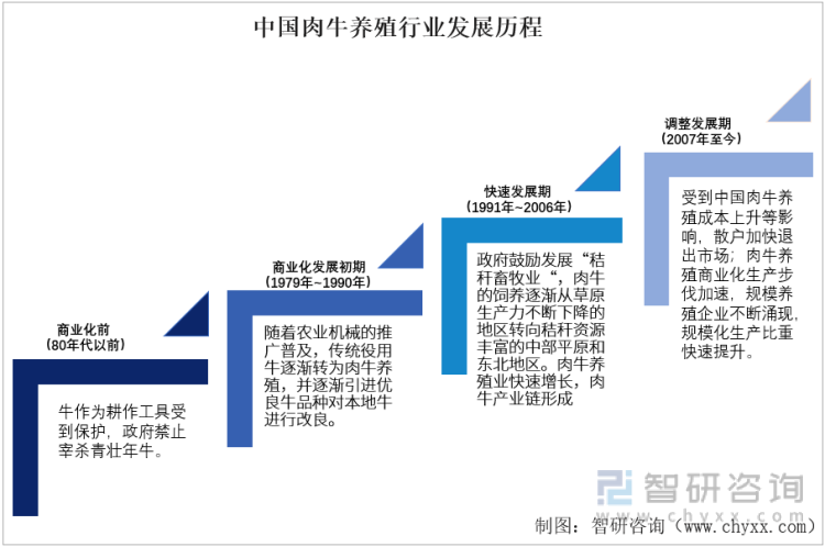 中国肉牛养殖行业发展历程