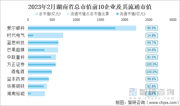 2023年2月湖南省总市值前10企业及其流通市值